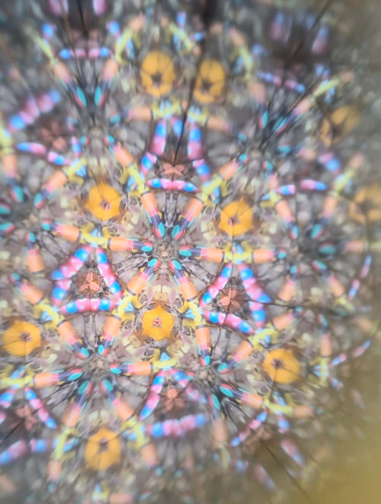 Kaleidoscope Faune