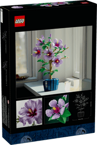 Hibiscus 10372