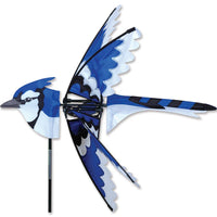 25'' - Geai Bleu