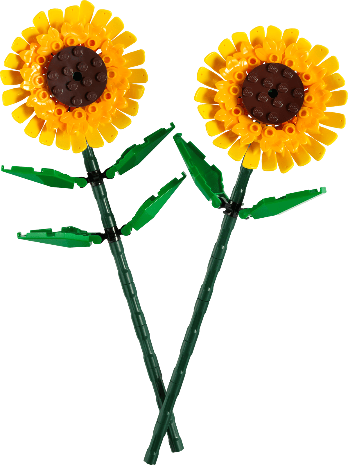 Tournesols  40524