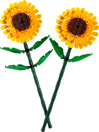 Tournesols  40524