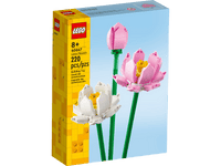 Les fleurs de lotus  40647