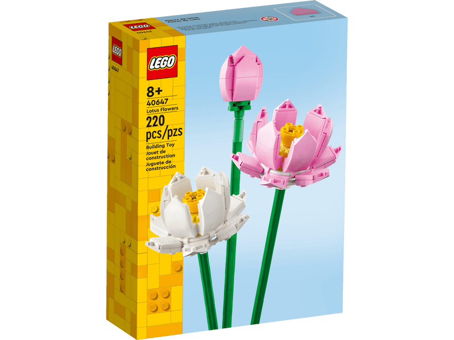 Les fleurs de lotus  40647