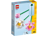 Les fleurs de lotus  40647