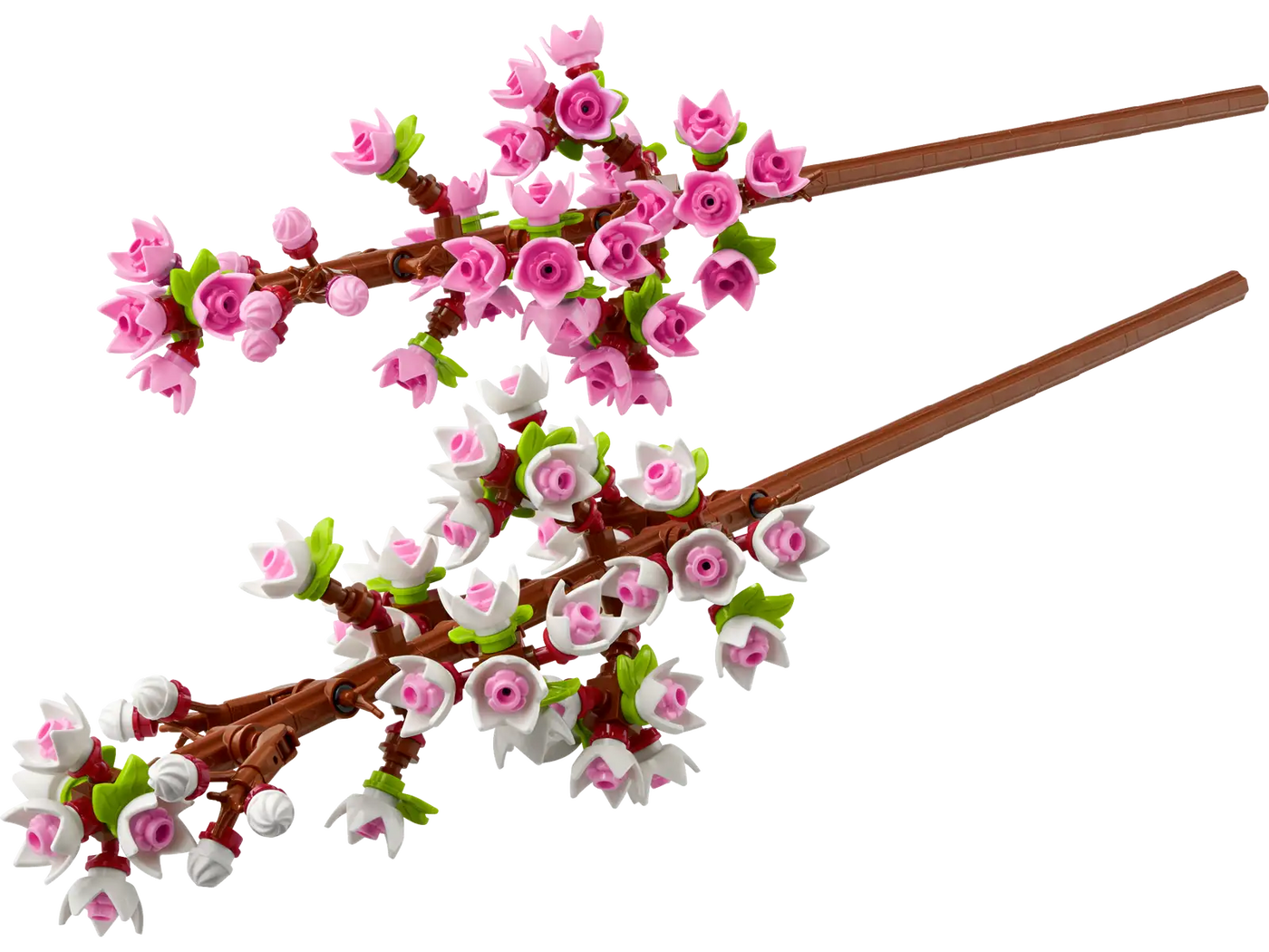 Les fleurs de cerisier  40725