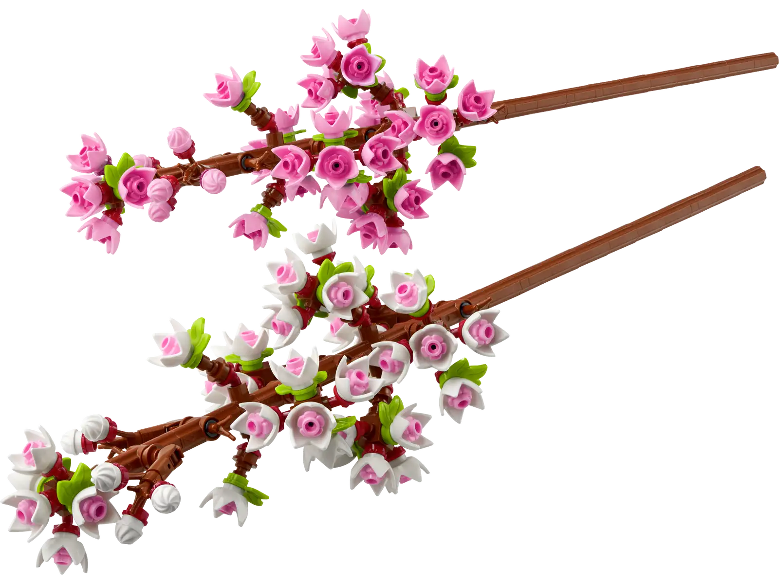 Les fleurs de cerisier  40725