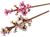 Les fleurs de cerisier  40725